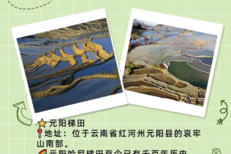 红河州五一节旅游指南：不容错过的景点和特色活动推荐