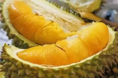 一个榴莲顶三只鸡，吃对了肝、肺、肾皆能补