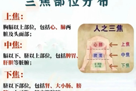 打通身上这两关，养五脏，通三焦，全身气血都盘活
