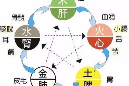 四气调体质，五味养五脏，人人用得上！
