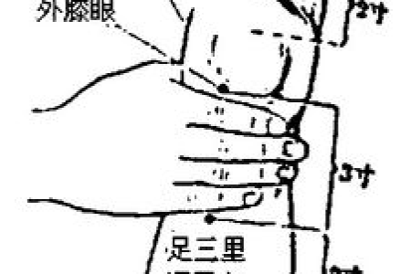 人体3个健脾穴，简单一按一拍，强壮脾胃，消滞祛湿，止痛止泻，胜过吃药！