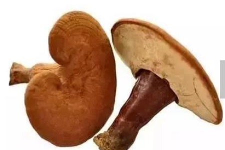 这颗补气养血的“神仙果”，健脾胃、益心肺、止咳喘，现在吃最管用！