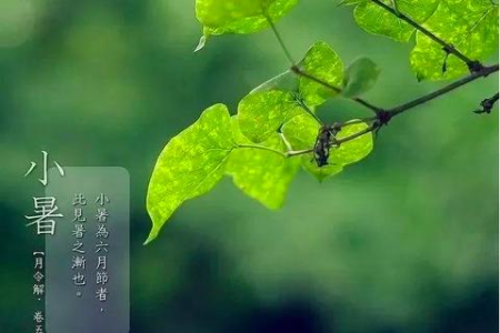小暑后15天，清热祛湿是关键，做好这3点，安心神，健脾胃，为三伏打基础！