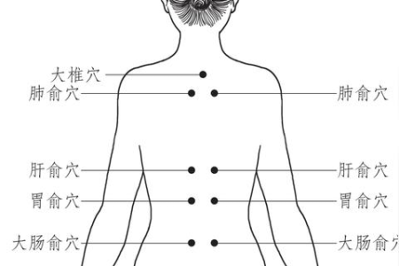 睡前按摩这3个穴位，从头养到脚，通气血，安心神，整晚睡得香！