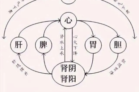 它善调一切气病，用好了行气止痛，结节、失眠绕道走！