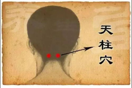 这套传承千年的养生功法，每天练一练，柔筋健骨，调病强身，男女老少都适用