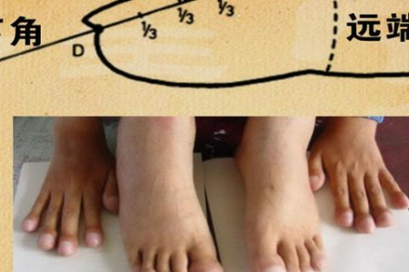 抓住排毒黄金期，做好这4步，排毒清脏，养肺护肾，给身体做个大扫除！