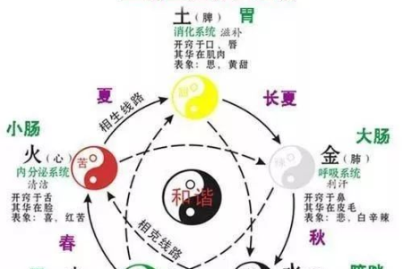气积伤肝，水积伤肾......百病起于积，5种体内垃圾情理法，照着做，受用终身！
