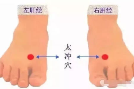 揉开3大特效穴，从头养到脚！补肺气、益肾气，改善头晕、耳鸣、腰膝疼...