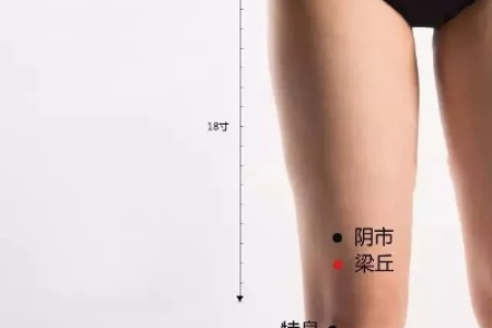 膝上有一奇穴，或按或灸，改善关节疼痛，远离老寒腿！
