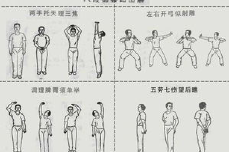 流传千年的养生操，简单8个动作，调理全身脏腑！