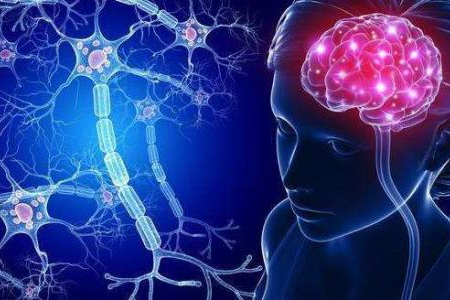 “人体第二大脑”堵了，50多种疾病接踵而来！仅需2招，通瘀排毒效果好
