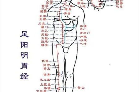 按好这2穴，通调脏腑！每天3分钟，健脾和胃，疏肝利胆，一穴顶十穴！