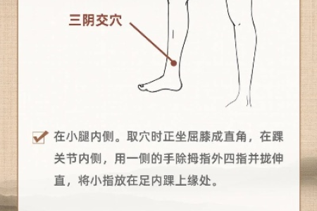 人体自带“壮骨穴”，没事按一按，补肾养髓，强筋骨，身板硬朗人长寿！