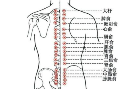 这套古法养生功，柔筋健骨，调病强身，好处特别多！