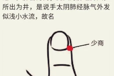 一穴养两脏，补肺又健脾！随手一按，益气祛湿，缓解咳嗽、胸闷！