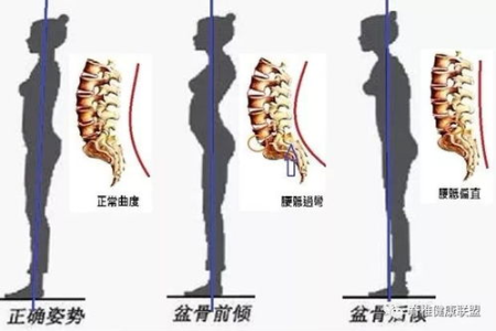 一个动作开龙脊，活气血，御风寒，全身都舒坦！