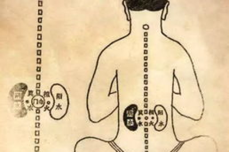 每天叩上100下，打通任督二脉，增强心肾之气，改善腰膝酸软、心悸胸闷！