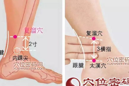 膝上一穴，专补肝肾！经常按一按，清利湿热，舒筋活络，还能调带下！