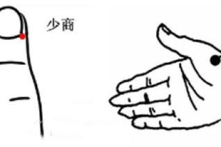 多拍这2处，疏通身体的“生命线”，健脾养胃，调肝胆，远离肥胖三高！