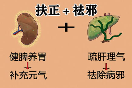 元宵圆，春气生，健脾暖阳是关键！3大攻略照着做，养出元气，护住安康