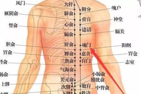 身体这五处，越揉越年轻！坚持一个月，经络通了，五脏都舒坦