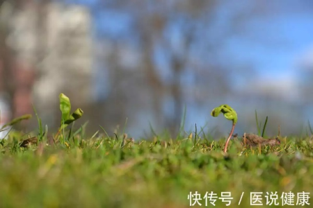 惊蛰不养，一年白忙！做好这3件事，疏肝护阳、健脾养肾，提升免疫力！