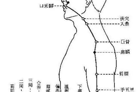 它是肩颈救星，每天练10分钟，气血充盈！