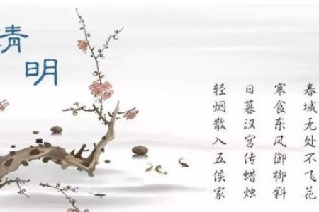 清明养生，这3大攻略请收好！清肝火、化浊湿、护阳气，精气神越来越好
