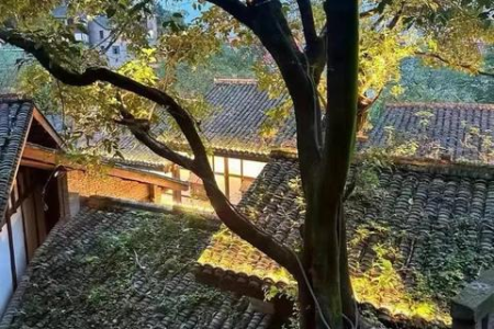 五一去哪里旅游人少景美又省钱？这份攻略帮你避开人潮！