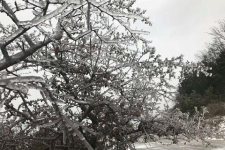 十大赏雪圣地，这个冬天总要和最爱的人去一次吧