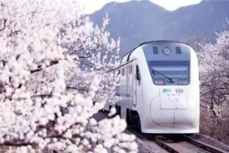 中国最美4趟列车，最低票价不到24元，70岁之前给自己安排一趟吧!