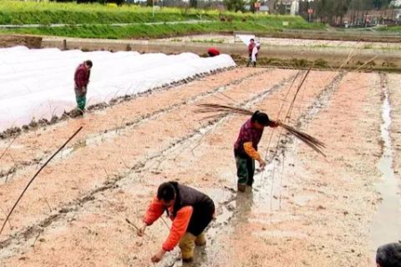 中国春景最美的10个地方，争取一年去一个！！