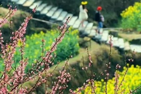 2-4月淡季出游正当时！这6个目的地承包你的春日浪漫！