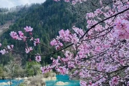 春日出游，这8个色彩斑斓的旅行胜地，值得一去！