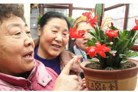 为啥退休大妈总说&quot;带老头旅游像遛娃&quot;？真相很扎心！