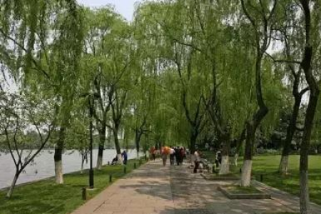 杭州国庆旅游必去景点：西湖、雷峰塔等不容错过
