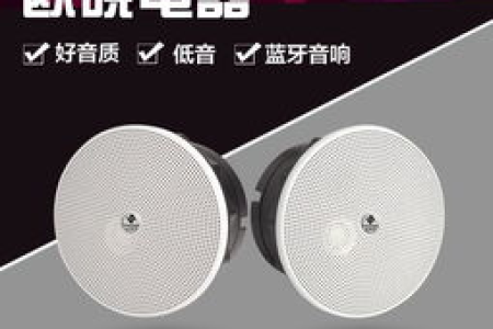 背景音乐现在流行用无线蓝牙音箱？