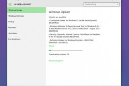 一波福利免费软件送送送（windows11更新禁止）