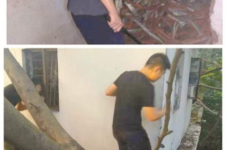 无电又无网络应用这样的方法来安装监控