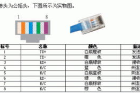 网线中每根的用途