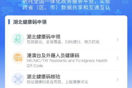详解手机鄂汇办中缴纳农村合作医疗费,湖北适用