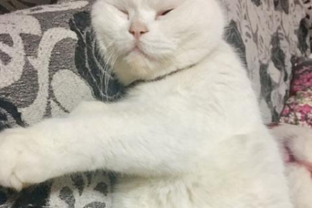 小样，你以为这样可以捉弄了我？不就是打印机端口的选择问题吗，这是很常见的一个问题
