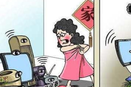 家里不建议安装监控摄像头？民警提示2025年4月1日起实施《公共安全视频图像信息系统管理条例》