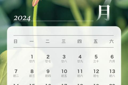 2024端午节旅游好去处：国内热门景点推荐