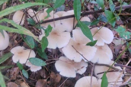 端午节假期去哪儿玩？这6个地方让你玩得开心又尽兴！
