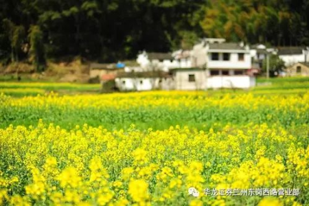 端午节旅游推荐理由简短：不想人挤人？这些冷门景点值得一去！