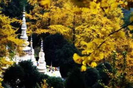 四川端午旅游攻略：景点推荐+实用贴士！