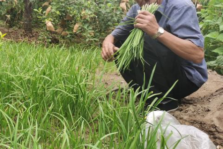 端午周边游北京：京郊乡村探秘，感受浓厚民俗风情