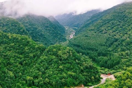 出门旅游正当时！端午节三日游怎么玩才不后悔？